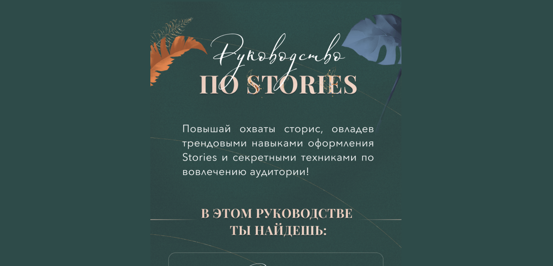 [Катерина Алешина] Руководство по stories (2021)_0.png
